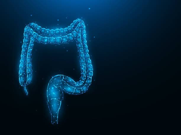 Proctology specialty banner