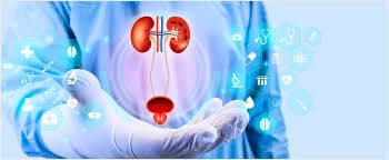 Urology specialty banner